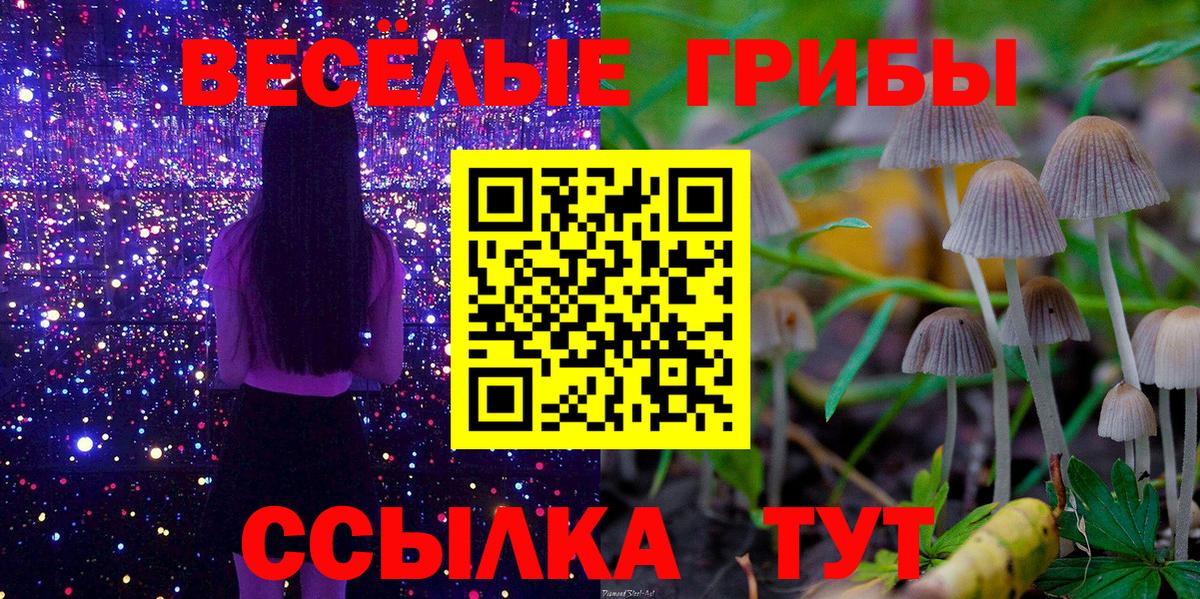 Псилоцибиновые грибы Cubensis Сосновоборск