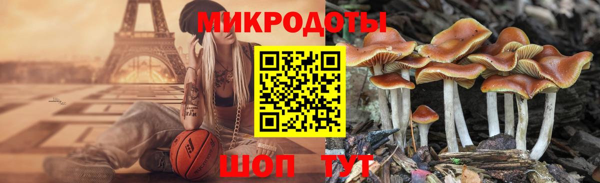 Сосновоборск  Галлюциногенные грибы ЛСД  Вход с VPN 